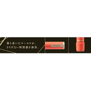 シヤチハタ ネーム9 MO式 100周年 富士の晴 FC052TF-XL-9/CJ1(MO)-イメージ5