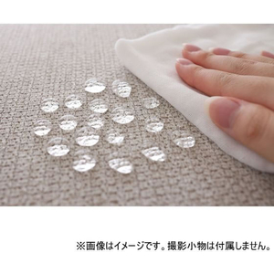 サンベルム Pally Pally ふけるトイレマット IV FCE511R-T34709-イメージ4