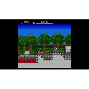 SUPERDELUXE GAMES 改造町人シュビビンマン コンプリート コレクション【Switch】 HACPBLJCB-イメージ2