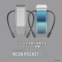 ソニー REON POCKET PRO (レオンポケットプロ)センシングキット REON POCKET グレー RNPK-P1T