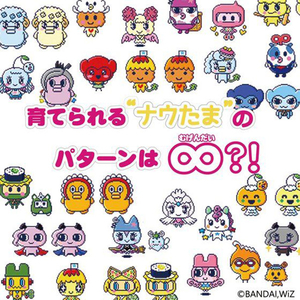 エディオンネットショップ バンダイ ﾀﾏｺﾞﾂﾁﾐ ﾂﾊﾟｽﾃﾙﾊﾟ ﾌﾟﾙ たまごっちみーつ パステルみーつver パープル