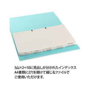 プラス たすけあ 利用者カルテ用インデックス 5山×2 FCA8649-98-078/FL-807IS-イメージ2