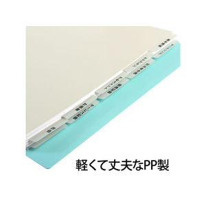 プラス たすけあ 利用者カルテ用インデックス 5山×2 FCA8649-98-078/FL-807IS-イメージ3