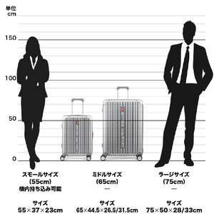SWISS MILITARY スーツケース 55cm (42L) CYGNUS(シグナス) メタリックシルバー SM-A820SILVER-イメージ8