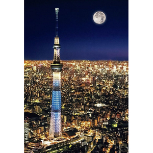 ビバリー 東京スカイツリー  ナイトビュー BV93146ｽｶｲﾂﾘ-ﾅｲﾄﾋﾞﾕ--イメージ1