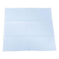 神堂 抗菌・防臭キッチンタオル 銀の力 ブルー FC093LE-1690400