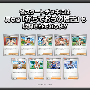 ポケモン ポケットモンスター ポケモンカードゲーム スカーレット&バイオレット スタートデッキGenerations ゼルネアスex･オンバｰンex ﾎﾟｹﾓﾝSVﾃﾞﾂｷGｾﾞﾙﾈｱｽｵﾝﾊﾞ-ﾝ-イメージ5