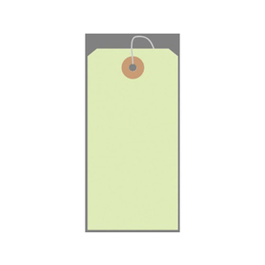 タカ印 カラー荷札 大(120×60mm) 黄緑 一穴 1000枚 FC25501-25-145-イメージ1