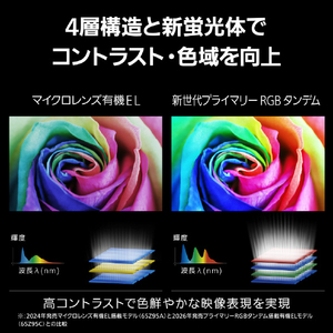 パナソニック 65型 有機ELテレビ VIERA TV-65Z95C-イメージ10