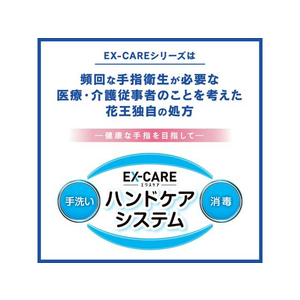 KAO EX-CARE 手指消毒ジェル 250mL FCV4376-イメージ3