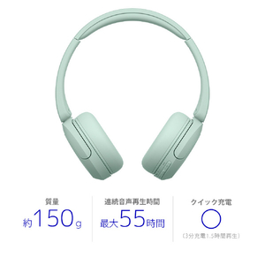 SONY ワイヤレスステレオヘッドセット ミント WH-CH530 G-イメージ2