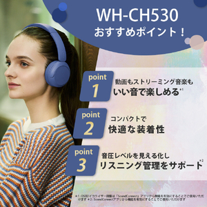 SONY ワイヤレスステレオヘッドセット ミント WH-CH530 G-イメージ3