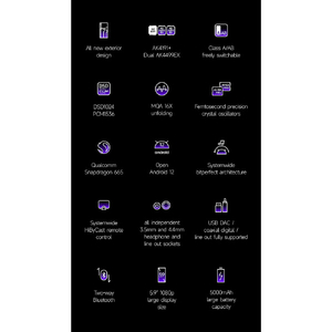 HiBy Music デジタルオーディオプレイヤー R6 Pro II Purple R6 PROII PURPLE-イメージ7