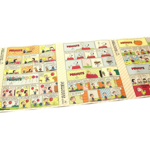 カモ井 mtリメイクシート Peanuts ピーナッツ・コミックストライプ FCE521L-MTCARPT03-イメージ1