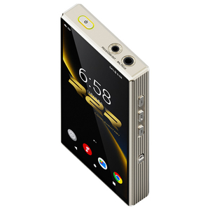 FIIO M33 R2R Titanium Gold FIO-M33R-G-イメージ5