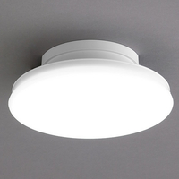 アイリスオーヤマ 薄型小型LEDシーリングライト SCL12NTH