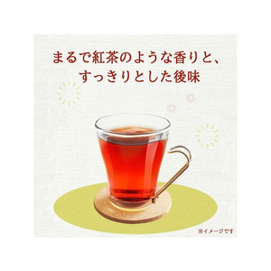 伊藤園 ヘルシールイボスティー 600mL×24本 FC270NX-イメージ2