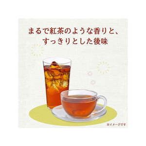 伊藤園 ヘルシールイボスティー 600mL×24本 FC270NX-イメージ3
