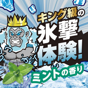 白元アース アイスノン ICEKING 極冷え ボディシート ミントの香り 30枚 FCG941V-イメージ4