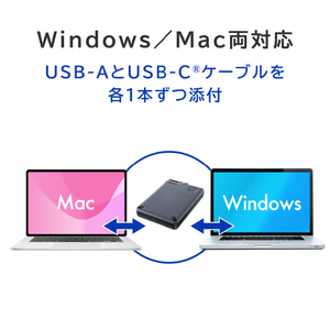 I・Oデータ ハードウェア自動暗号化&耐衝撃ポータブルHDD(2TB) BizDAS HDPD-SUTC2-イメージ9