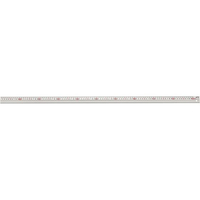 新潟精機 アルミスケール 快段目盛 100cm FC671NJ-AS-100