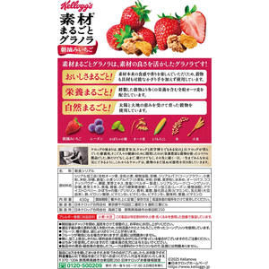 日本ケロッグ 素材まるごとグラノラ 朝摘みいちご 430g FCB354G-イメージ3