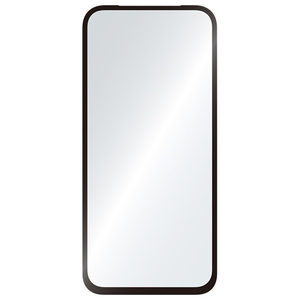 トリニティ Google Pixel 8a用[FLEX 3D] Dinorex 高透明 複合フレームガラス ブラック TR-PX248A-G3-DRCCBK-イメージ1