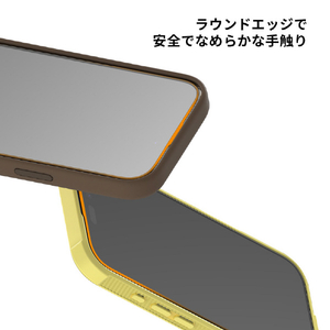 araree iPhone 16 Pro Max用core 液晶保護ガラスフィルム Clear(2枚入り) AR27151I16PM-イメージ5