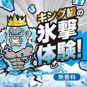 白元アース アイスノン ICEKING 極冷え 洗顔シート 無香料 20枚×2個入 FCG943V-イメージ4