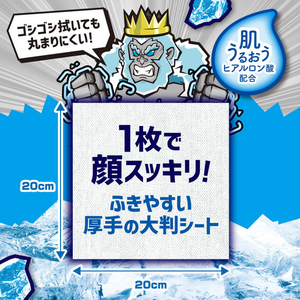白元アース アイスノン ICEKING 極冷え 洗顔シート 無香料 20枚×2個入 FCG943V-イメージ5