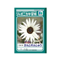 ショウワノート ジャポニカ学習帳 かんじれんしゅう 104字 104字1冊 F820581-JL-50-1