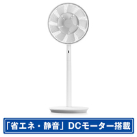 バルミューダ EGF-1800-WG DCモーター搭載リモコン付リビング
