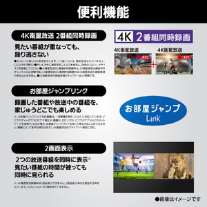 パナソニック 43型 4K対応液晶テレビ VIERA TV-43W95C-イメージ18