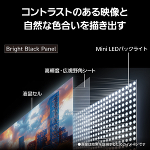 パナソニック 43型 4K対応液晶テレビ VIERA TV-43W95C-イメージ9