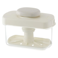 リス 浅漬けメーカー ホワイト FCF319A-GLIT001