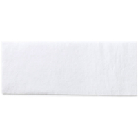 テラモト ライトダスター E-49 100枚入 CL-357-449-0 FC740YJ-5273976