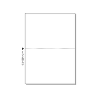 ヒサゴ マルチプリンタ帳票 A4 白紙 2面 2500枚 FC91580-BPE2002