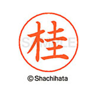 シヤチハタ ネームペン用ネーム シルバー 既製 桂 FC46496-X-GPS-0725