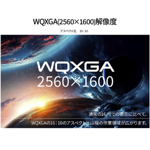 JAPANNEXT 16型WQXGA対応モバイルディスプレイ ブラック JN-MD-IPS16WQXGAR-イメージ3