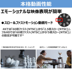 キヤノン デジタル一眼カメラ・EOS R50 V・RF-S14-30 IS STM PZ レンズキット EOSR50V EOSR50V1430ISSTMPZLK-イメージ8