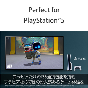 SONY 65型 Mini LED搭載 4K液晶テレビ BRAVIA 5 K-65XR53-イメージ7