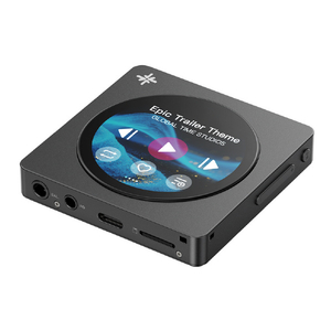 FIIO Snowsky DISC Black FIO-SSDISC-B-イメージ1