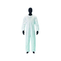 アゼアス タイベック(R)製続服 1110NA Lサイズ FC859ER-8198840