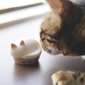 ラディウス 猫のかたちの完全ワイヤレスイヤホン NEKO true wireless earphones シロ HP-C28BTW-イメージ3