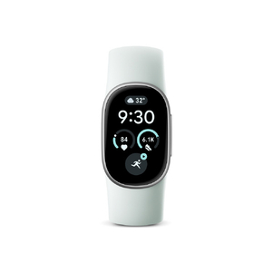 Fitbit Google Fitbit Edge アクティブバンド Sサイズ Fog GA11590-WW-イメージ4
