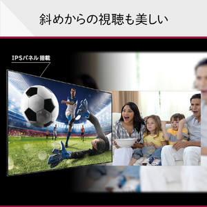 LGエレクトロニクス 65V型4Kチューナー内蔵4K対応液晶テレビ 65QNED90JQA-イメージ4