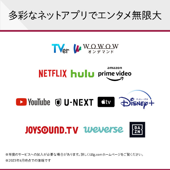 LGエレクトロニクス 65V型4Kチューナー内蔵4K対応液晶テレビ 65QNED90JQA Dolby Vision 地上波でも IQ HDMI2 マジックリモコン 20W スタンド含む