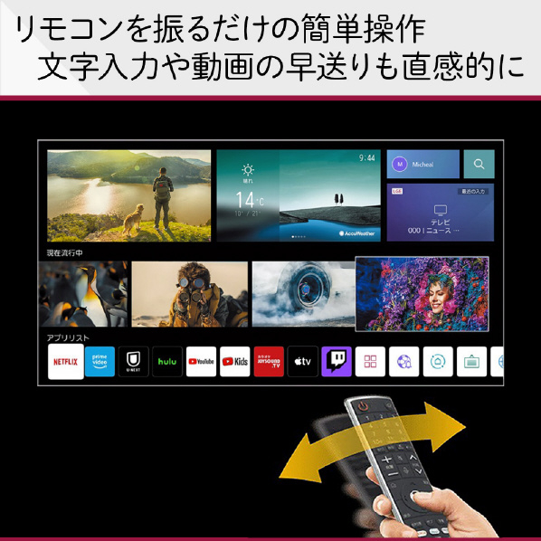 LGエレクトロニクス 65V型4Kチューナー内蔵4K対応液晶テレビ 65QNED90JQA Dolby Vision 地上波でも IQ HDMI2 マジックリモコン 20W スタンド含む