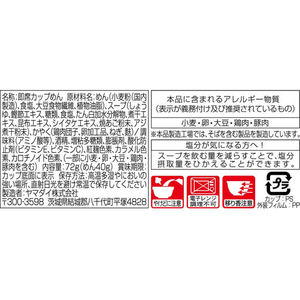 ヤマダイ 手緒里庵 手延そうめん 12食 FCJ382L-イメージ2