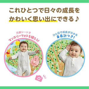 タカラトミー ディズニー てあそびいっぱい!おうちにへんしんジム くまのプーさん ﾃｱｿﾋﾞｲﾂﾊﾟｲﾍﾝｼﾝｼﾞﾑｸﾏﾉﾌﾟ-ｻﾝ-イメージ6